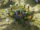 Festival_ohne_Bands_-_Bodensee-Community_SEECHAT_2025_-_Hailtingen_181_.JPG