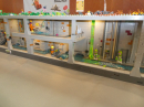Legomesse-St-Gallen-2025-Bodensee-Community-SEECHAT_DE-_146_.JPG