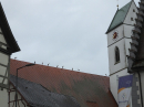 Theatersommer-2025-Riedlingen-_115_.JPG