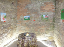 NEUFRA-KunstEvent-250803DSCF1217.JPG
