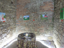 NEUFRA-KunstEvent-250803DSCF1218.JPG