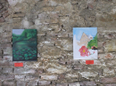 NEUFRA-KunstEvent-250803DSCF1274.JPG