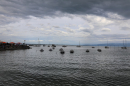 SummerDays-Festival-Arbon-29-08-25-Bodensee-Community-SEECHAT_DE-3H4A8868.JPG