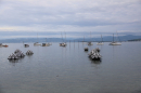 SummerDays-Festival-Arbon-29-08-25-Bodensee-Community-SEECHAT_DE-3H4A9089.JPG