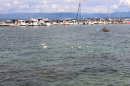 SummerDays-Festival-Arbon-30-08-25-Bodensee-Community-SEECHAT_DE-3H4A9851.JPG