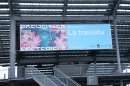 tHerbert-Pixner-Projekt-Bregenz-2025-Bodensee-Community-SEECHAT_DE-3H4A1429_7_.JPG