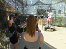Festival-ohne-Bands-Hailtingen-2026-Bodensee-Community-SEECHAT-_322_.JPG