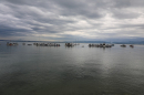SummerDays-2026-08-28-Arbon-Bodensee-Community-SEECHAT_DE-3H4A3520.JPG