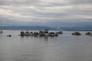 SummerDays-2026-08-28-Arbon-Bodensee-Community-SEECHAT_DE-3H4A3522.JPG
