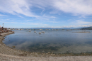 SummerDays-2026-08-29-Arbon-Bodensee-Community-SEECHAT_DE-3H4A3680.JPG