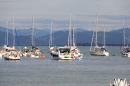 SummerDays-2026-08-29-Arbon-Bodensee-Community-SEECHAT_DE-3H4A3855.JPG