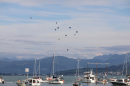 SummerDays-2026-08-29-Arbon-Bodensee-Community-SEECHAT_DE-3H4A3860.JPG