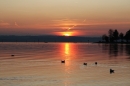 Immenstaad-am-Bodensee-Sonnenuntergang-07_11_2008-seechat_de-IMG_1997.JPG