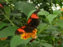 SANY0018.JPG