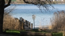 reichenau.jpg