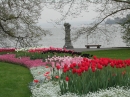 Tulpen_am_Seeufer.JPG
