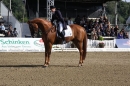 Reitturnier-Donaueschingen-CHI-200908-seechat-de-IMG_0595.JPG