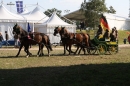 Reitturnier-Donaueschingen-CHI-200908-seechat-de-IMG_1009.JPG