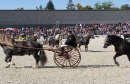 k-IMG_2412.JPG