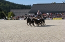 k-IMG_2427.JPG