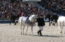 k-IMG_2428.JPG