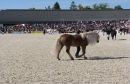 k-IMG_2431.JPG