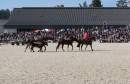 k-IMG_2448.JPG