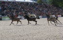 k-IMG_2529.JPG