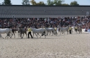 k-IMG_2538.JPG