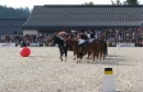 k-IMG_2563.JPG