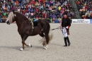 Hengstparade-Marbach-2008-031008-seechat_de-IMG_1493.JPG