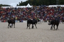 Hengstparade-Marbach-2008-031008-seechat_de-IMG_1548.JPG