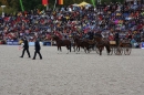 Hengstparade-Marbach-2008-031008-seechat_de-IMG_1572.JPG