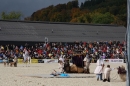 Hengstparade-Marbach-2008-031008-seechat_de-IMG_1602.JPG