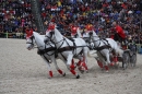 Hengstparade-Marbach-2008-031008-seechat_de-IMG_1705.JPG