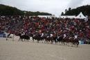 Hengstparade-Marbach-2008-031008-seechat_de-IMG_1715.JPG