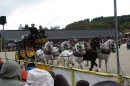 Hengstparade-Marbach-2008-031008-seechat_de-IMG_7076.JPG