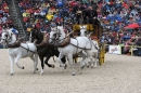 Hengstparade-Marbach-2008-031008-seechat_de-IMG_7079.JPG