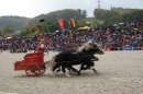 Hengstparade-Marbach-2008-031008-seechat_de-IMG_7115.JPG