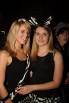 Stierball-2009-Wahlwies-200209-seechat_de-IMG_5767.JPG