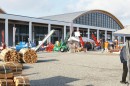 Aqua_Fisch_messe_Fridrichshafen_Seechat_de_Michael_WohlfarthDSC09790.JPG