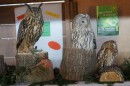 Aqua_Fisch_messe_Fridrichshafen_Seechat_de_Michael_WohlfarthDSC09794.JPG