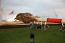 Westernschiessen-Nenzingen-120609-Bodensee-Community-seechat-de-IMG_4720.JPG