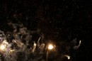 Schlossseefest-Salem-010809-Bodensee-Community-seechat-de-_30.JPG