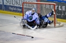 Wild-Wings-Villingen-vs-Dresdner-Loewen-Furtwangen-261209-seechat_de-_98.jpg