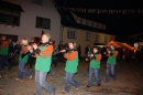 Narrenumzug-Eigeltingen-22012010-seechat_deDSC00091.JPG