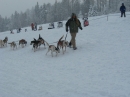 Schlittenhunderennen-Todtmoos-20100131-Bodensee-Community-seechat_de-IMG_8492.JPG