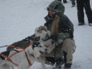 Schlittenhunderennen-Todtmoos-20100131-Bodensee-Community-seechat_de-IMG_8496.JPG