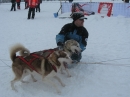 Schlittenhunderennen-Todtmoos-20100131-Bodensee-Community-seechat_de-IMG_8502.JPG