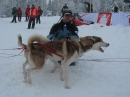 Schlittenhunderennen-Todtmoos-20100131-Bodensee-Community-seechat_de-IMG_8503.JPG